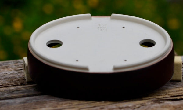 2019-029 oval